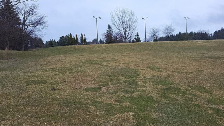 Before Construction-Open area prior to construction at driving range facility